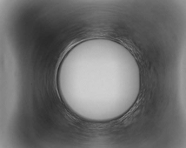 X0000116560195200912100950
