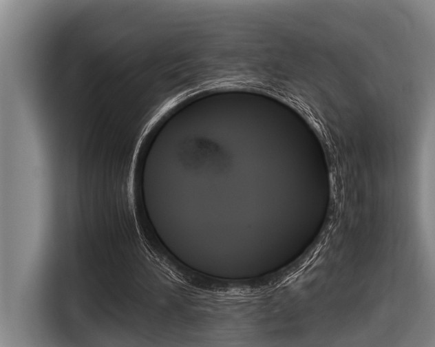 X0000116560196200912100950