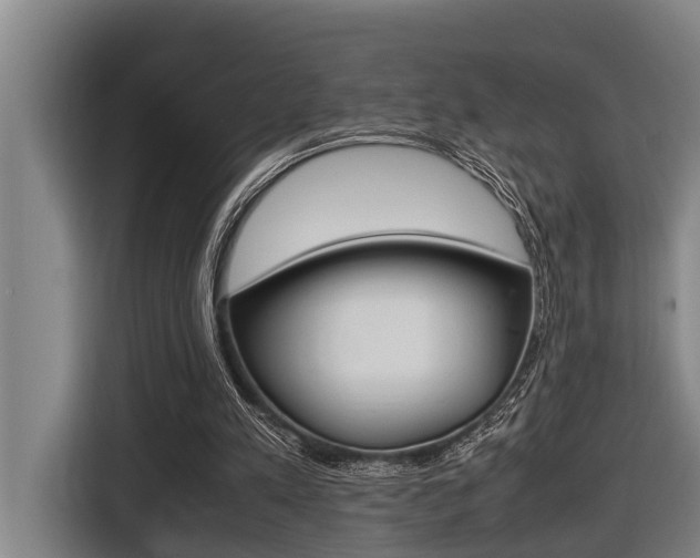 X0000116560197200912100950