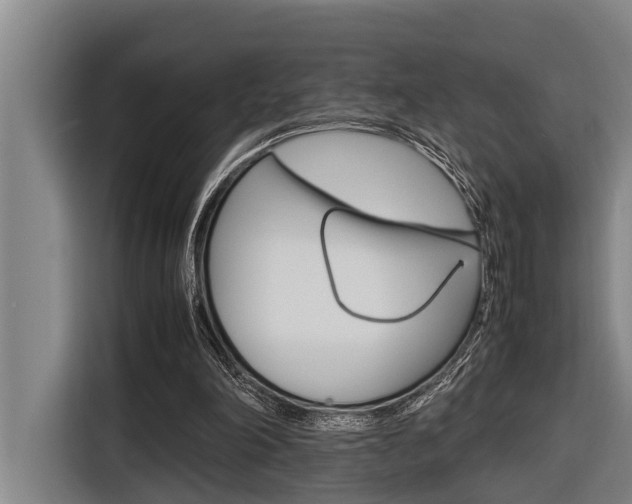 X0000116560198200912100950