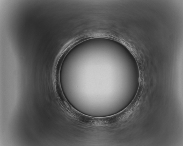 X0000116560199200912100950
