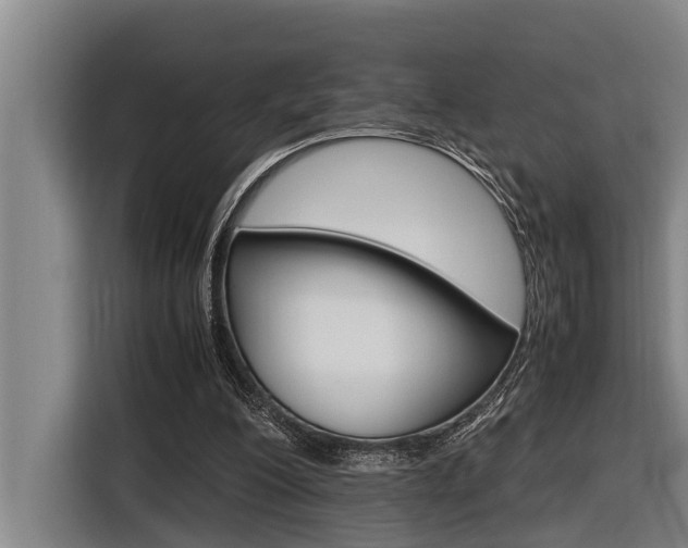 X0000116560200200912100950