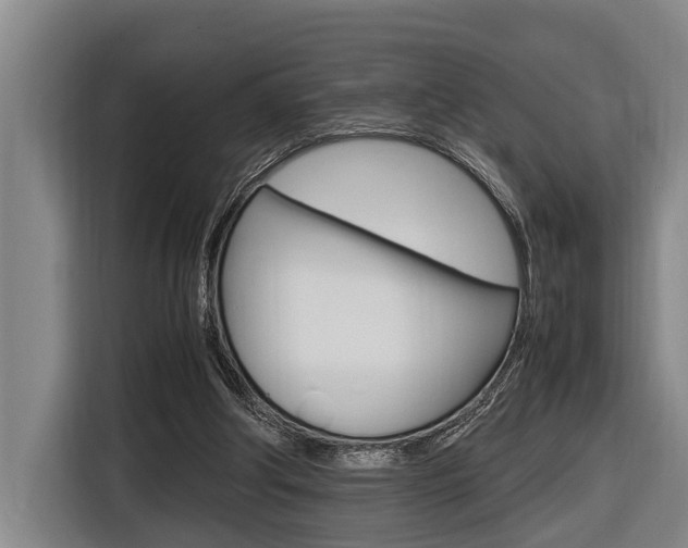 X0000116560202200912100950