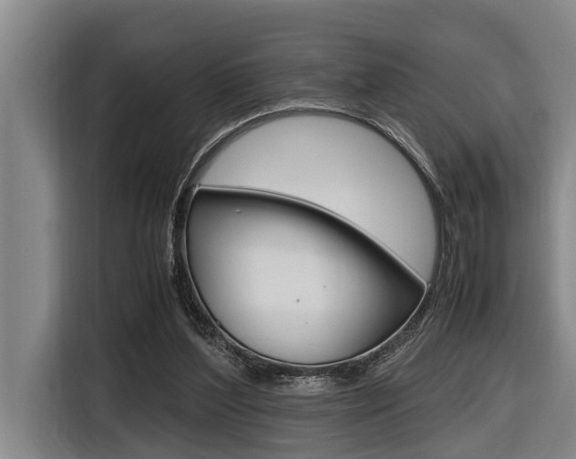 X0000116560204200912100950
