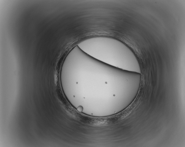X0000116560206200912100950
