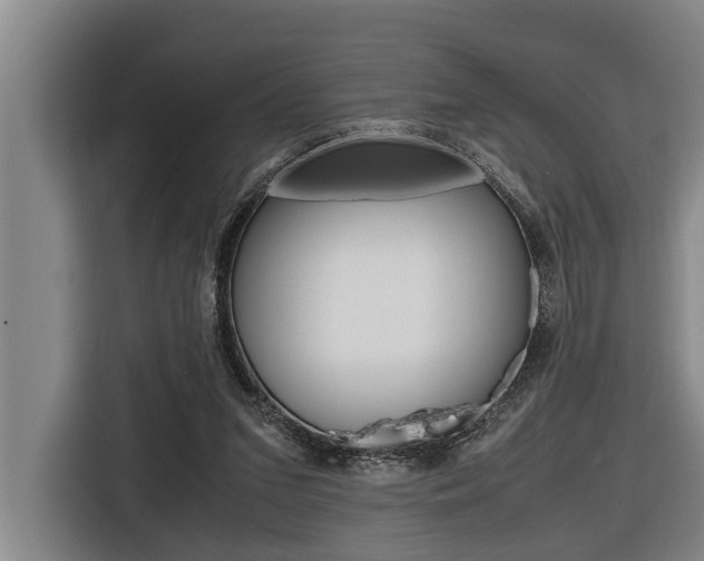 X0000116560207200912100950