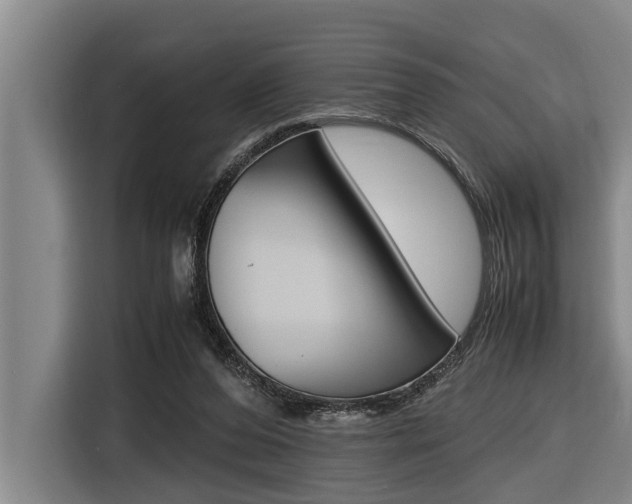 X0000116560208200912100950
