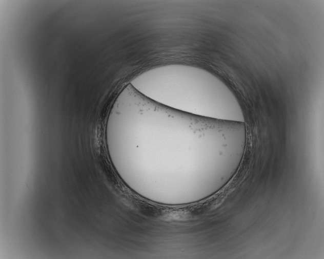 X0000116560210200912100950