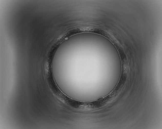 X0000116560211200912100950
