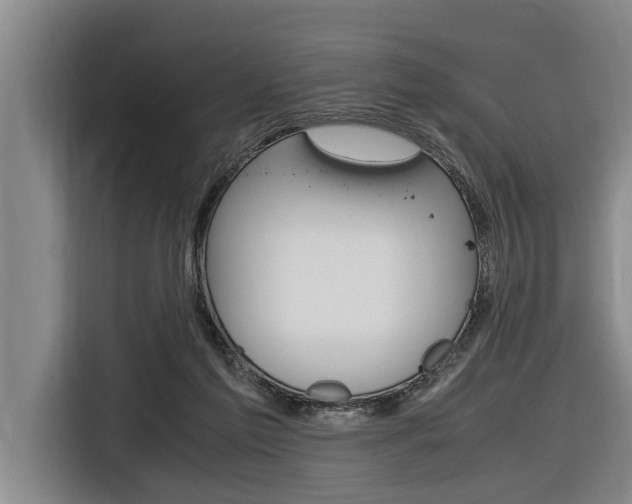 X0000116560213200912100950