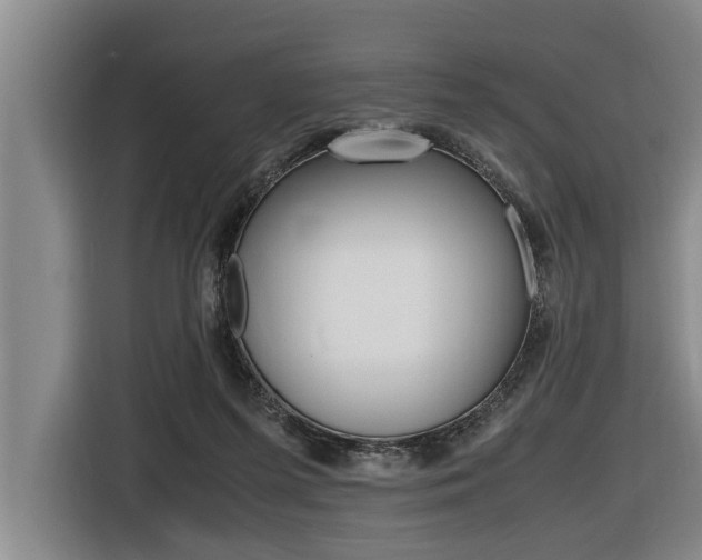X0000116560215200912100950