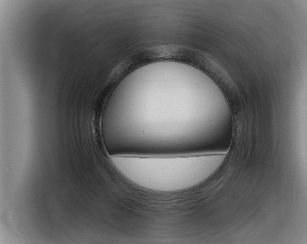 X0000116560216200912100950