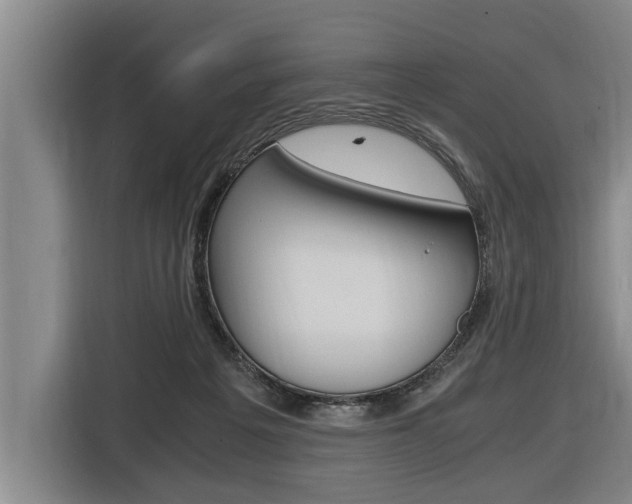 X0000116560217200912100950