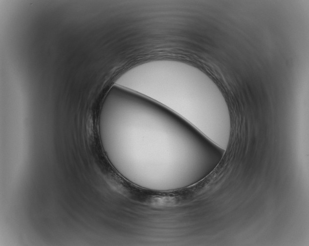 X0000116560220200912100950