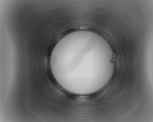 X0000116560222200912100950