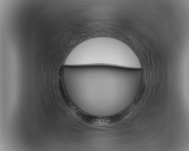 X0000116560223200912100950