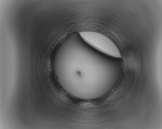 X0000116560224200912100950
