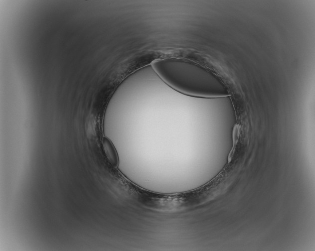 X0000116560225200912100950