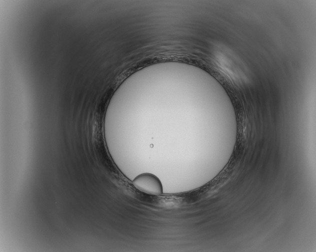 X0000116560226200912100950