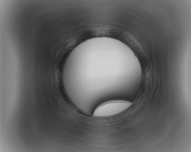 X0000116560228200912100950