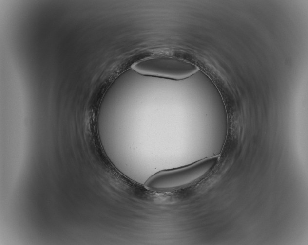 X0000116560229200912100950
