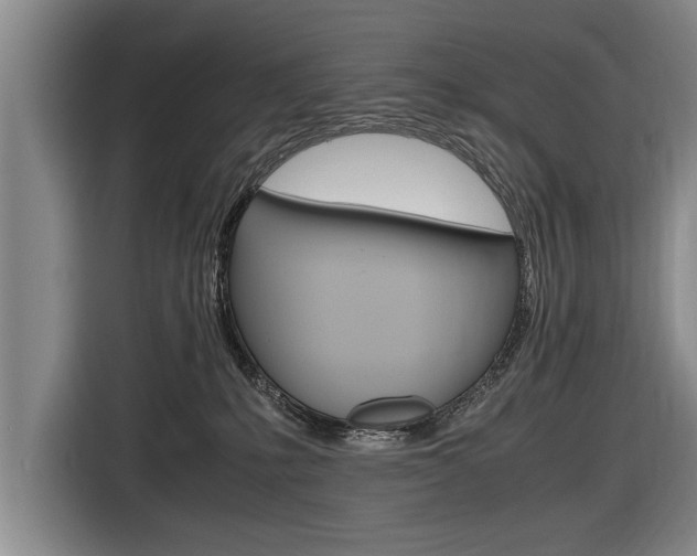 X0000116560231200912100950