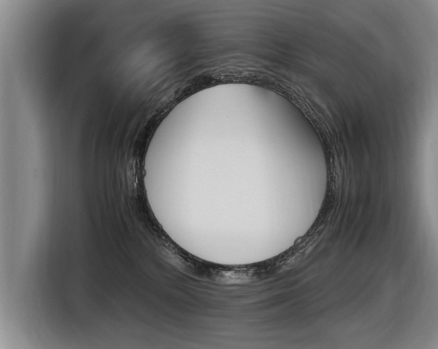 X0000116560232200912100950