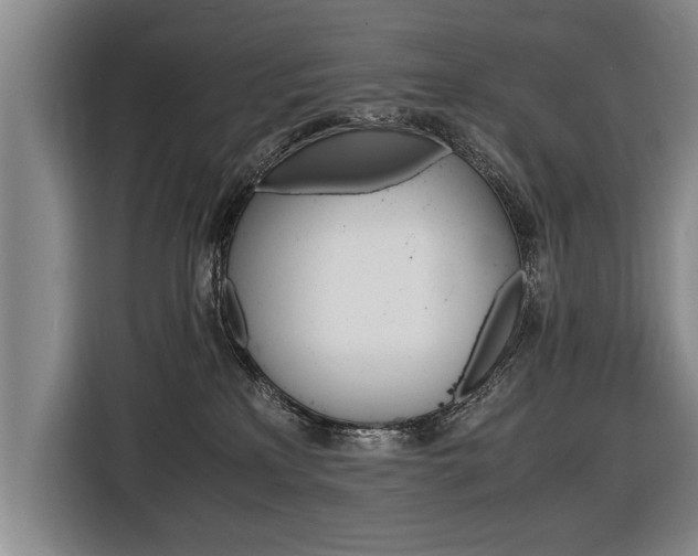 X0000116560233200912100950