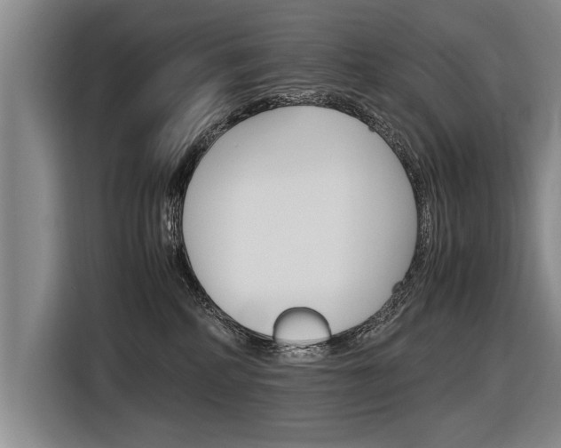 X0000116560234200912100950