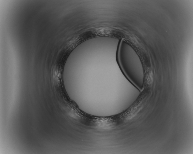 X0000116560235200912100950