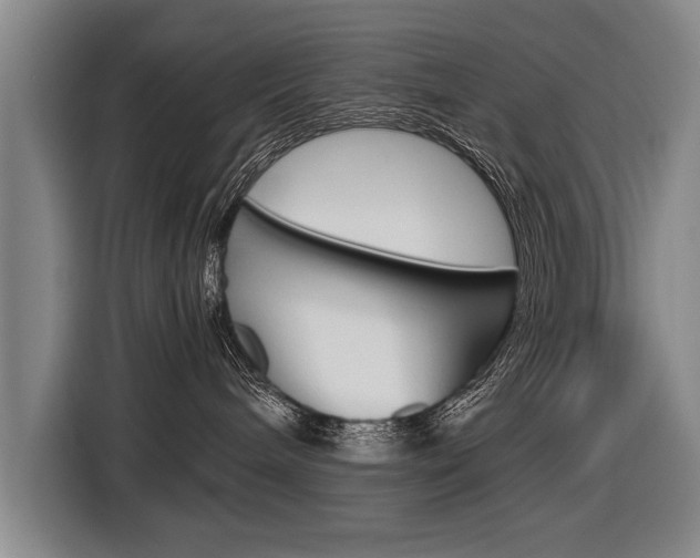 X0000116560240200912100949