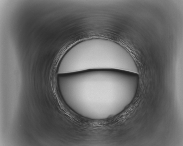 X0000116560241200912100949