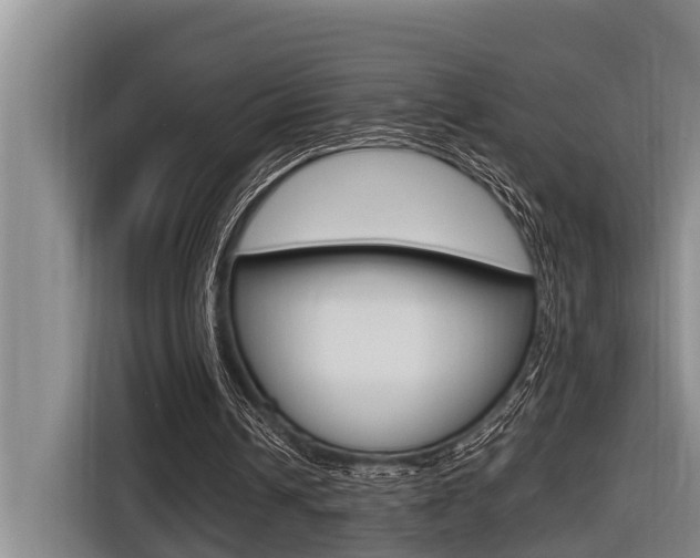 X0000116560242200912100949