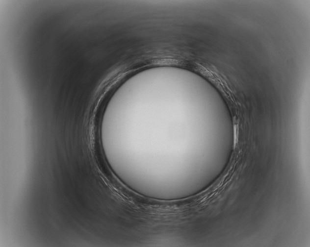 X0000116560243200912100949