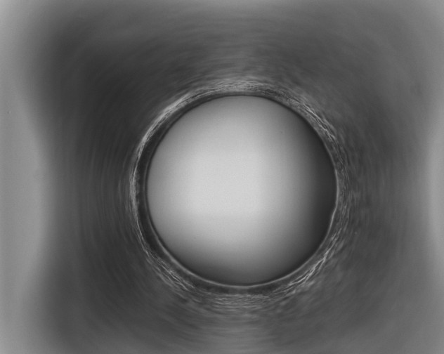 X0000116560244200912100949