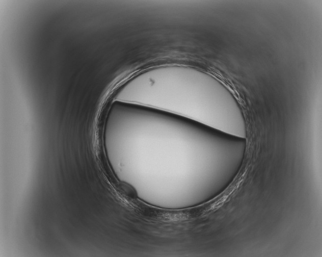 X0000116560245200912100949