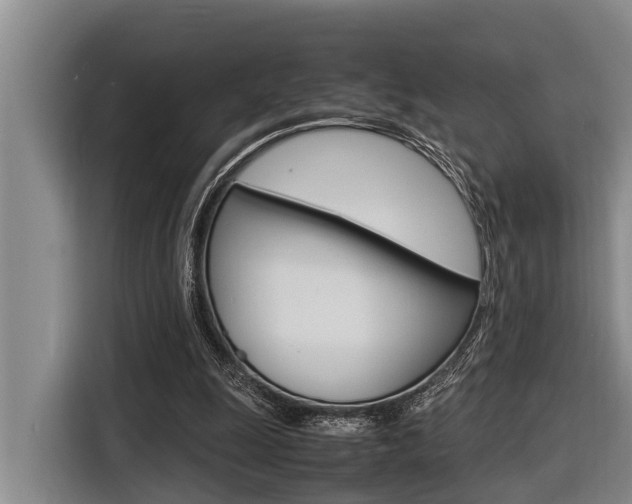 X0000116560247200912100949