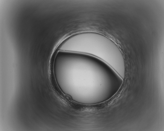 X0000116560248200912100949