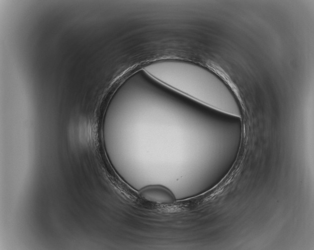 X0000116560249200912100949