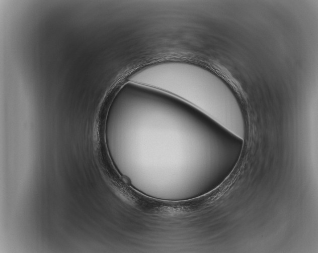 X0000116560250200912100949