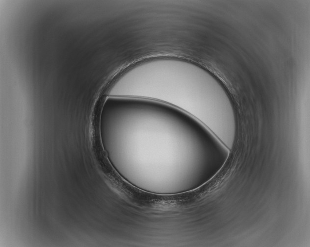 X0000116560252200912100949