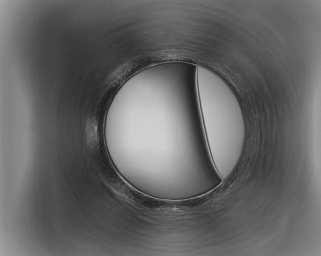 X0000116560254200912100949