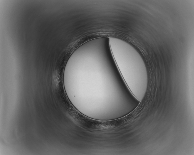 X0000116560255200912100949