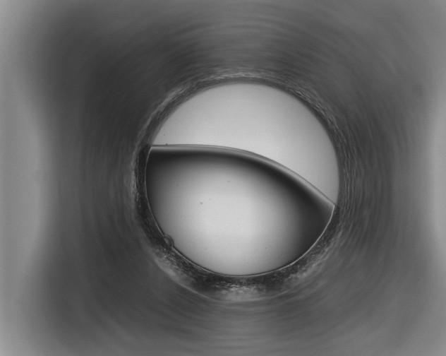 X0000116560256200912100949