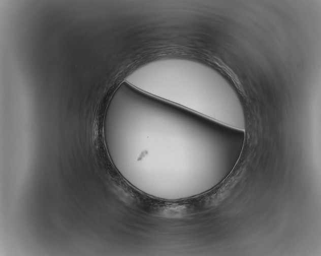X0000116560257200912100949