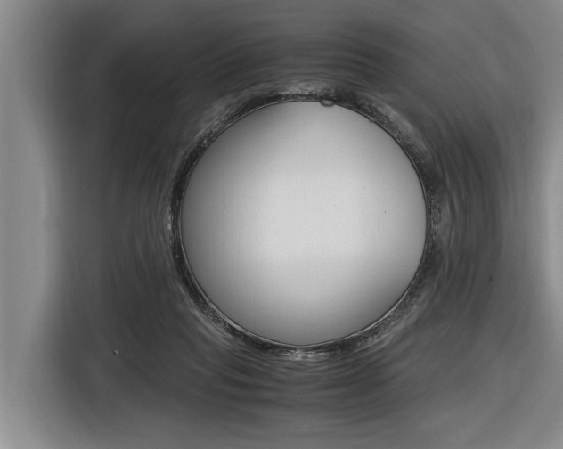 X0000116560261200912100949