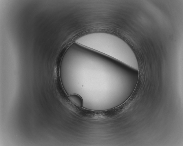 X0000116560262200912100949