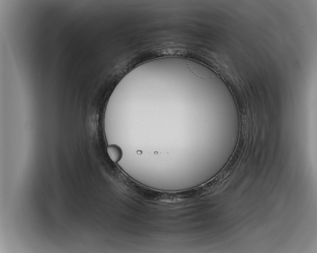 X0000116560263200912100949