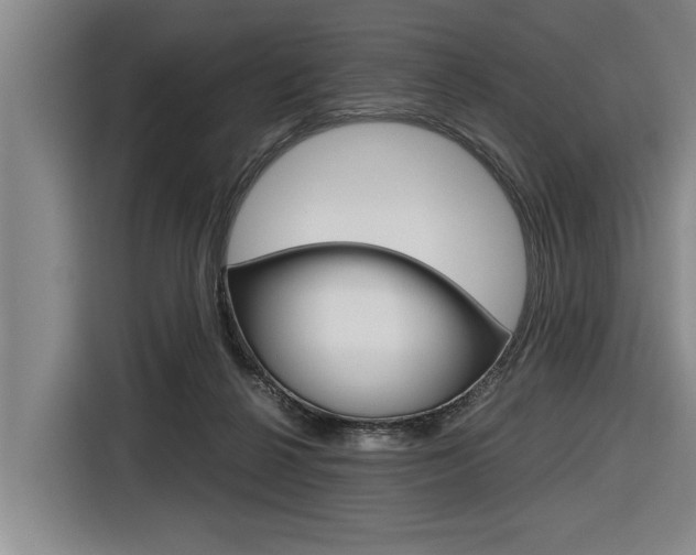 X0000116560264200912100949