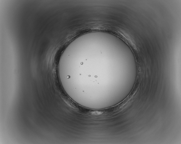 X0000116560265200912100949